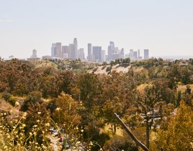 Los Angeles